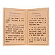 Icona Russia Madonna con colomba 27x22 s6