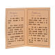 Icona Russia Madonna con colomba 27x22 s7