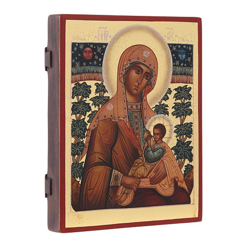 Icona russa Madonna Allattante 21X17 cm 2