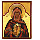 Icona russa Madonna con il Bambino nel grembo 14x10 cm s1