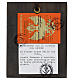 Icona russa Madonna con il Bambino nel grembo 14x10 cm s4