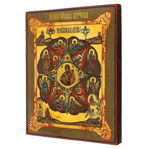 Russian painted icon of the Burning Bush, 14x11 in 3