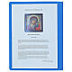 Icona russa tavola XIX secolo Madonna Kazan sfondo decorato 31x27 cm s5