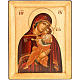 Icona Vergine Glikofilussa manto rosso s1