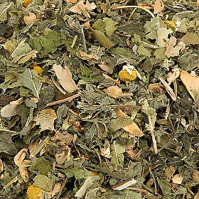 Infusions et tisanes: Tisane à la  Melissa de Camaldoli