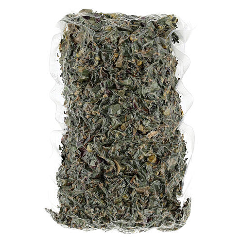 Tisane à la  Melissa de Camaldoli 3