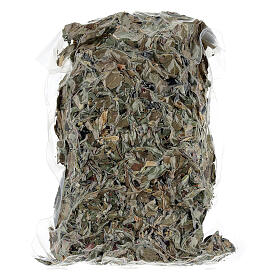 Camaldoli Sea oak herbal tea