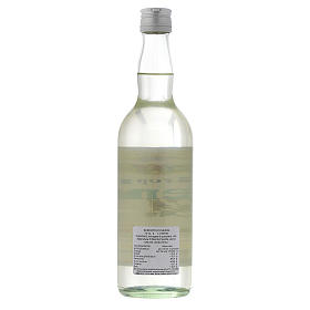 Mint syrup infusion 700ml Finale Ligure