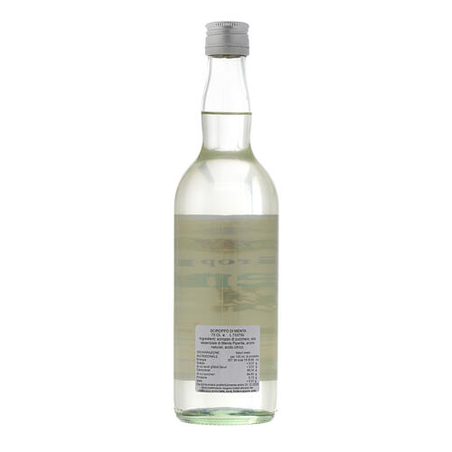 Jarabe infuso al gusto de menta 700 ml Finale Ligure 2