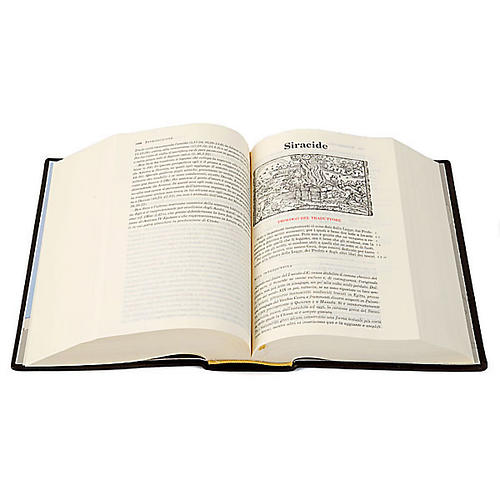 Bible of Jerusalem 2009 edition, Leatherette cover 3