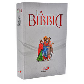 The Bible. New Version from the Ancient Texts
