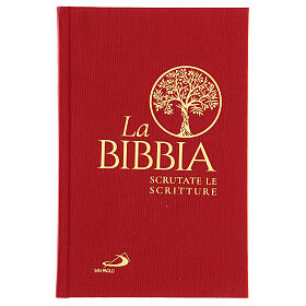 La Bibbia, Scrutate le Scritture San Paolo 2020