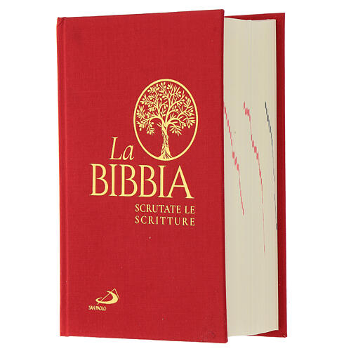La Bibbia. Scrutate le Scritture. Edizione con copertina rigida telata  libro, San Paolo Edizioni, ottobre 2020, Bibbia 
