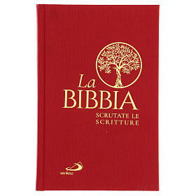 "La Bibbia - Scrutate le Scritture" (La Biblia - Escrutad las Escrituras) San Paolo 2020