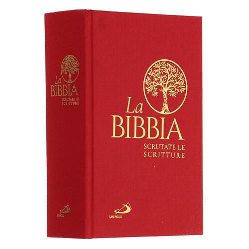 "La Bibbia - Scrutate le Scritture" (La Biblia - Escrutad las Escrituras) San Paolo 2020 2