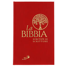 La Bibbia – Scrutate le Scritture, farbig illustriert von Kiko Argüello (italienische Ausgabe)