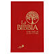 La Bibbia – Scrutate le Scritture, farbig illustriert von Kiko Argüello (italienische Ausgabe) s1
