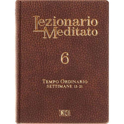 "Lezionario Meditato vol. 6" (Leccionario Meditado vol. 6) 1