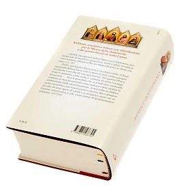 Everyday Missal (San Paolo edition) s3