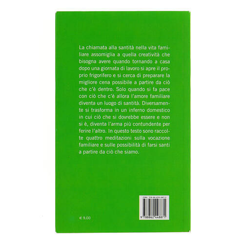 Farsi santi con ciò che c'è don Luigi Maria Epicoco 3