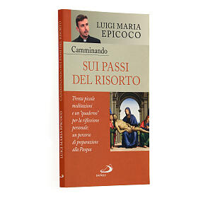 Camminando sui passi del Risorto don Luigi Maria Epicoco