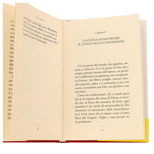 Vivere il Giubileo - Enzo Fortunato- Edizioni San Paolo 2