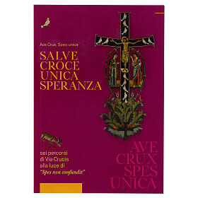 Salve croce unica speranza - Sei percorsi di Via Crucis alla luce di Spes non confundit