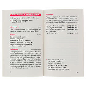 Via Crucis del pellegrino. Meditazioni con papa Francesco (italienische Ausgabe)