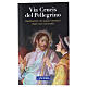 Vía Crucis del peregrino. Meditaciones con Papa Francisco s1