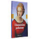 L'Immacolata perfezione - L. M. Epicoco s2