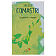 La ragione e il coraggio - A. Comastri s1