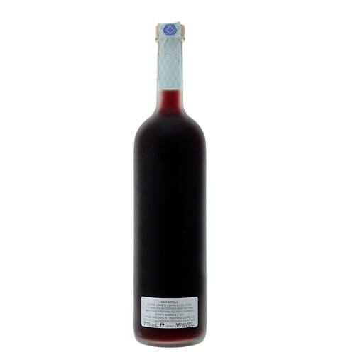Gran Mirtillo liqueur (blueberry flavour) 2