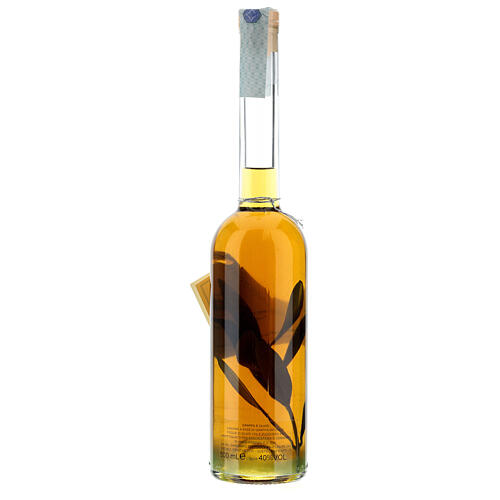 Olive flavoured grappa 2