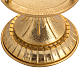 Blessed Sacrament lamp in gold-plated brass s2