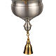Blessed Sacrament lamp in satin brass with angels s3