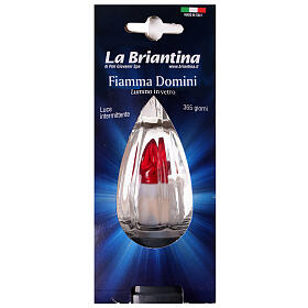 Lumino vetro fiamma Domini luce rossa intermittente 365 giorni
