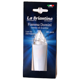 Lumino elettrico fiamma Domini bianco luce blu intermittente 365 giorni