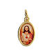 Sacred Heart of Jesus medal in golden metal and resin 1.5x1cm s1