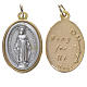 Miraculous Medal, silver and golden metal 2.5cm s1