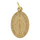 Miraculous Medals, French inscription, SET of 100, 1.8 cm, gold plated aluminium s1