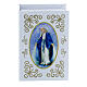 Medalla Virgen milagrosa de plata sterling 925 s1