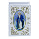 Medaglia Madonna miracolosa in argento sterling 925 s1