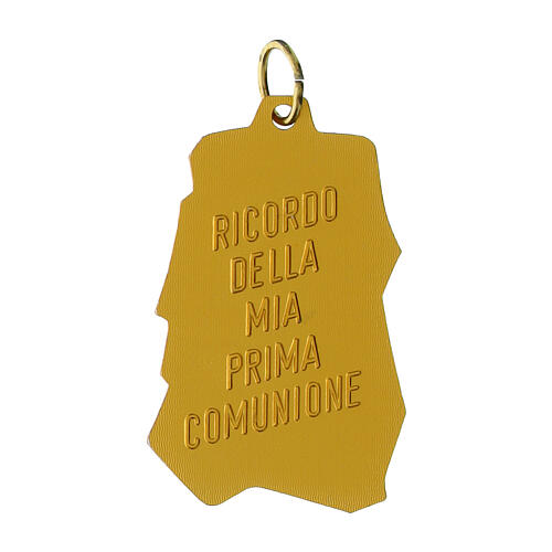 Médaille Communion raisin, pain et calice 40 mm 2