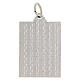 Medaglia rettangolare Sacro Cuore di Gesù 18x24 mm s2