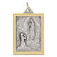 Medalla bicolore Virgen de Lourdes rectangular 24x18 mm s1