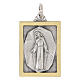 Medaglia rettangolare bicolore Madonna Miracolosa 18x24 mm s1