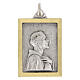 Medaglia rettangolare 18x24 mm San Francesco bicolore s1