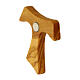 Tau cross magnet Carlo Acutis olive wood 3x4 cm s2