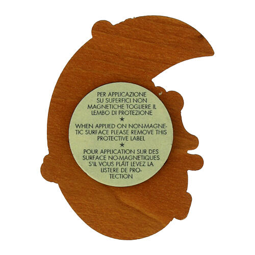 Jubilee 2025 magnet with official colored logo 5x3 cm 4