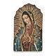 Imán resina Virgen de Guadalupe 8x5 cm s1